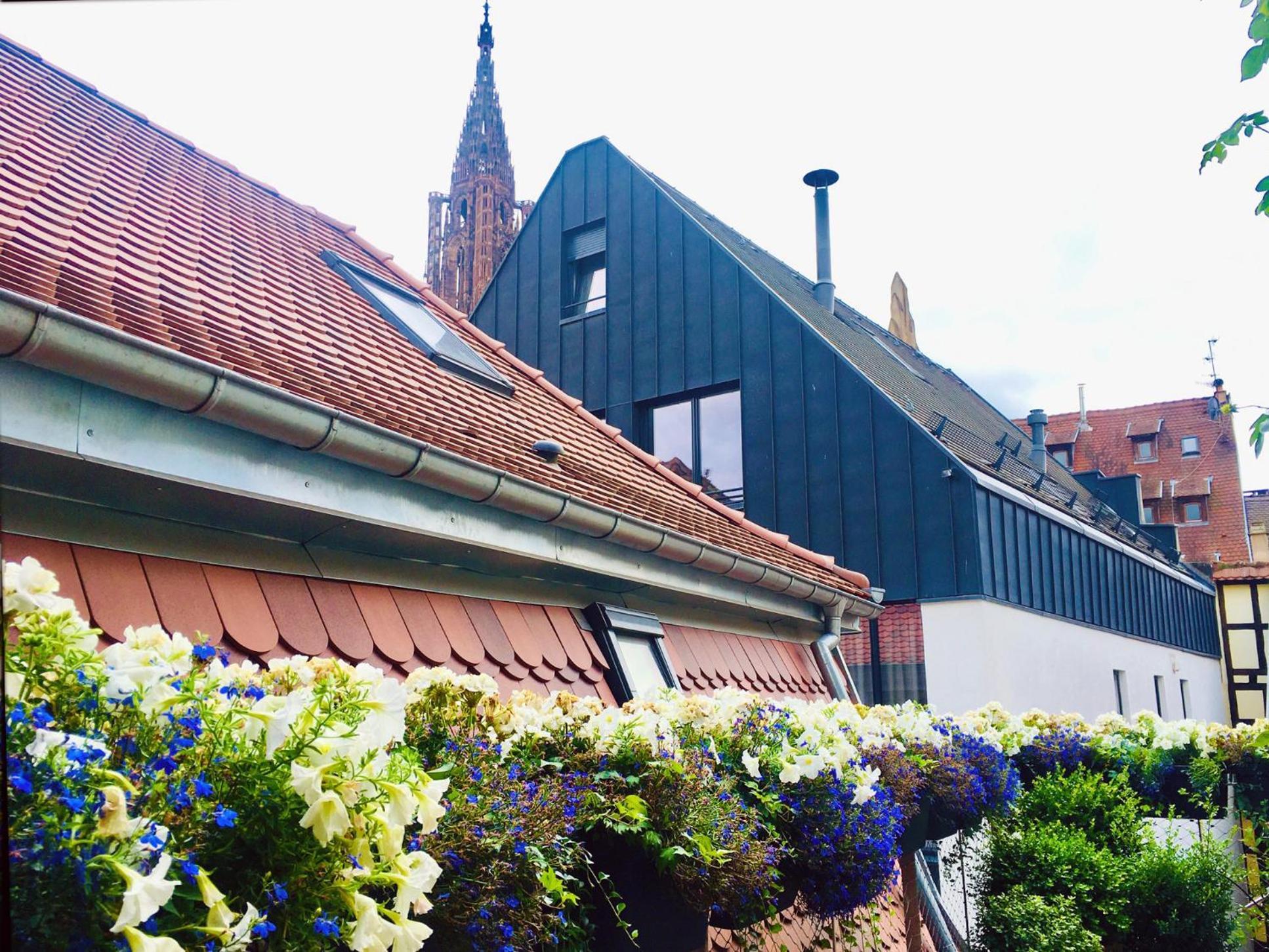 Le Carre D Or Appartement Terrasse Vue Cathedrale Strasbourg Exterior foto